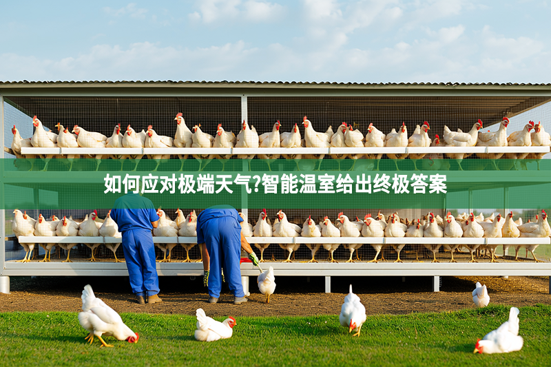 如何应对极端天气?智能温室给出终极答案
