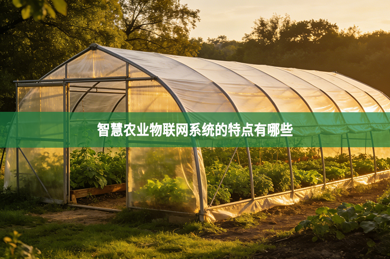 智慧农业物联网系统的特点有哪些