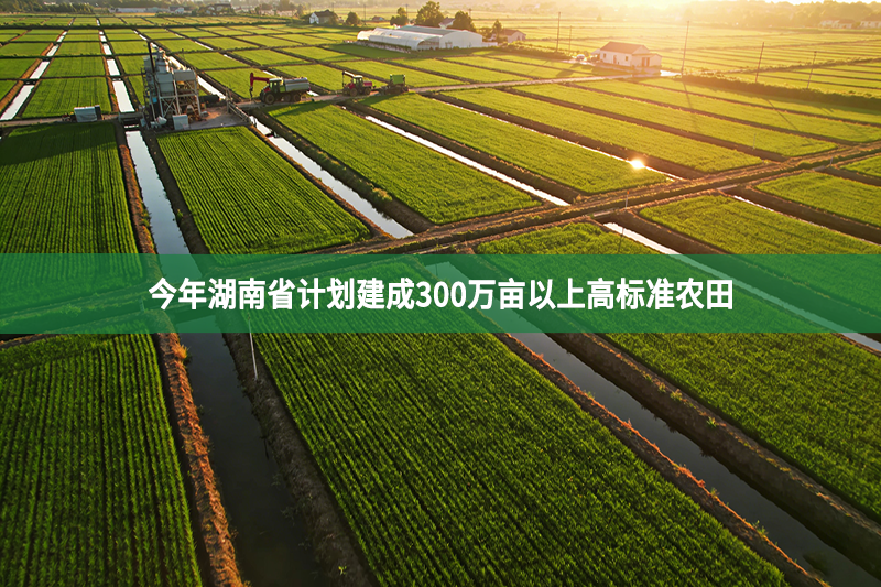 今年湖南省计划建成300万亩以上高标准农田