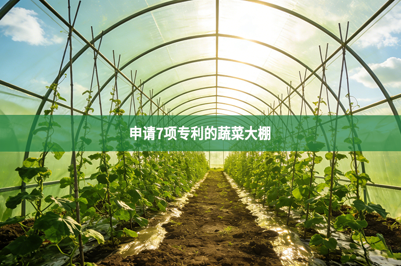 申请7项专利的蔬菜大棚
