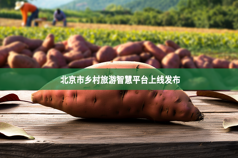 北京市乡村旅游智慧平台上线发布