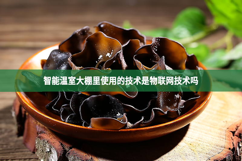 智能温室大棚里使用的技术是物联网技术吗