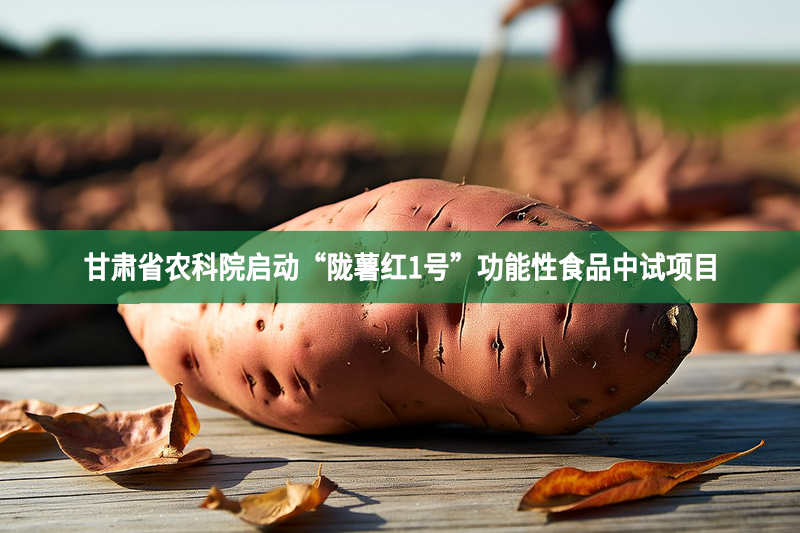 甘肃省农科院启动“陇薯红1号”功能性食品中试项目