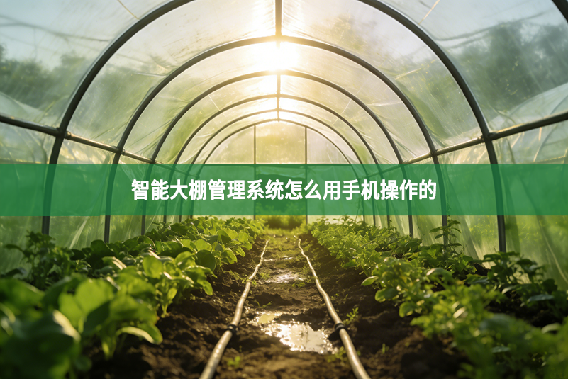 智能大棚管理系统怎么用手机操作的