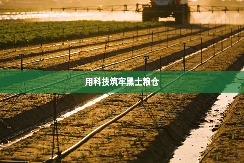 用科技筑牢黑土粮仓