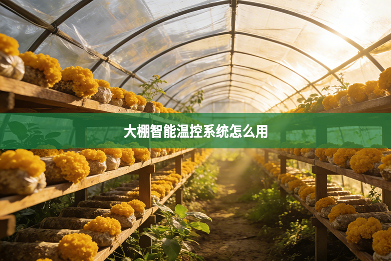 大棚智能温控系统怎么用