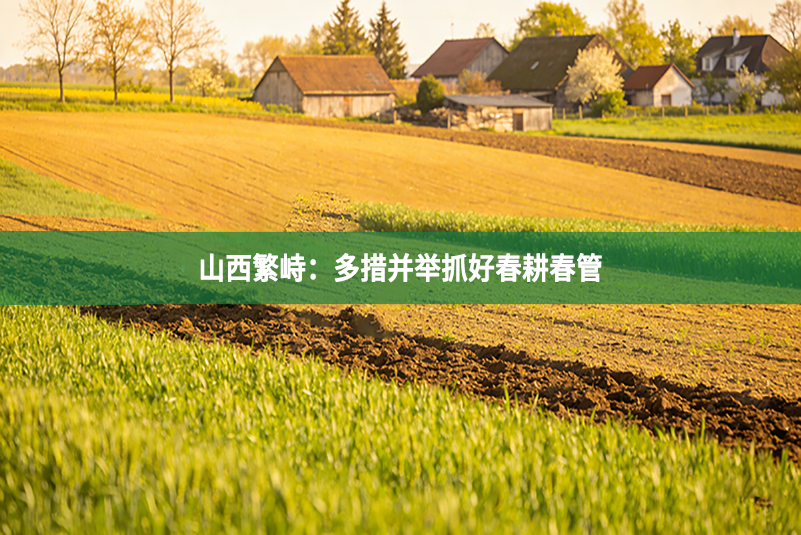 山西繁峙：多措并举抓好春耕春管