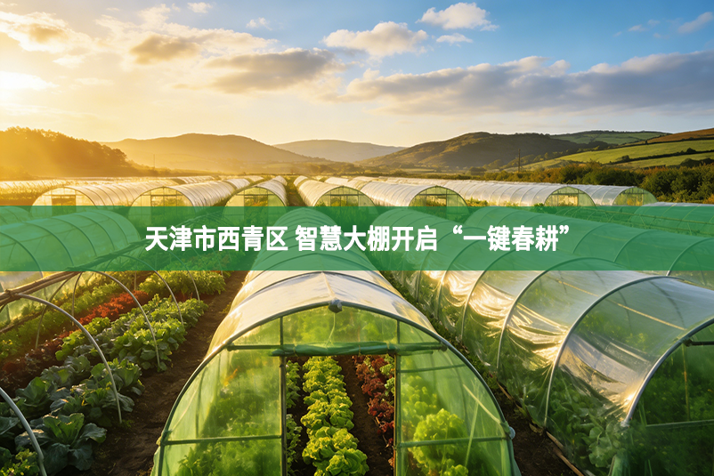 天津市西青区 智慧大棚开启“一键春耕”