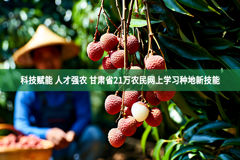 科技赋能 人才强农 甘肃省21万农民网上学习种地新技能