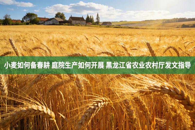 小麦如何备春耕 庭院生产如何开展 黑龙江省农业农村厅发文指导