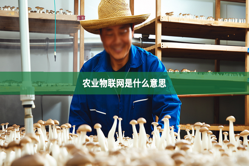 农业物联网是什么意思