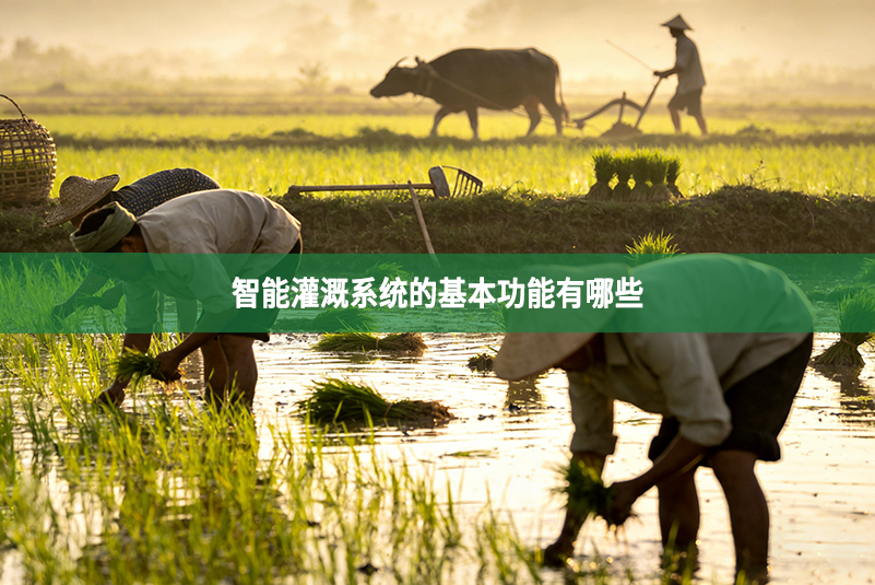 智能灌溉系统的基本功能有哪些