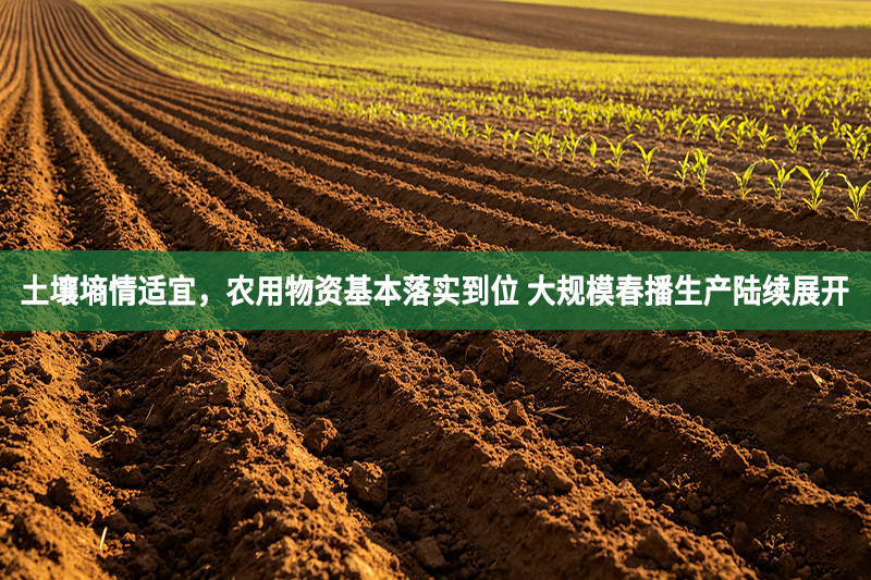 土壤墒情适宜，农用物资基本落实到位 大规模春播生产陆续展开