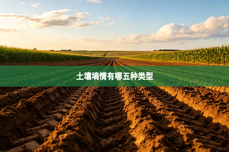 土壤墒情有哪五种类型