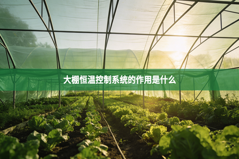 大棚恒温控制系统的作用是什么