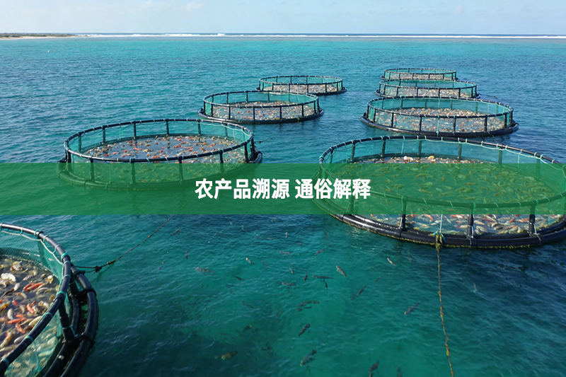 农产品溯源 通俗解释