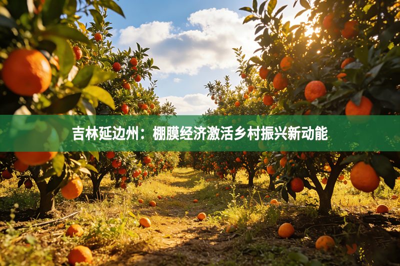 吉林延边州：棚膜经济激活乡村振兴新动能