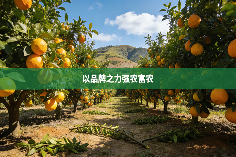 以品牌之力强农富农
