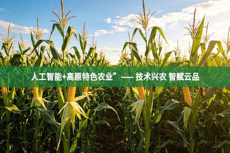 “人工智能+高原特色农业”—— 技术兴农 智赋云品