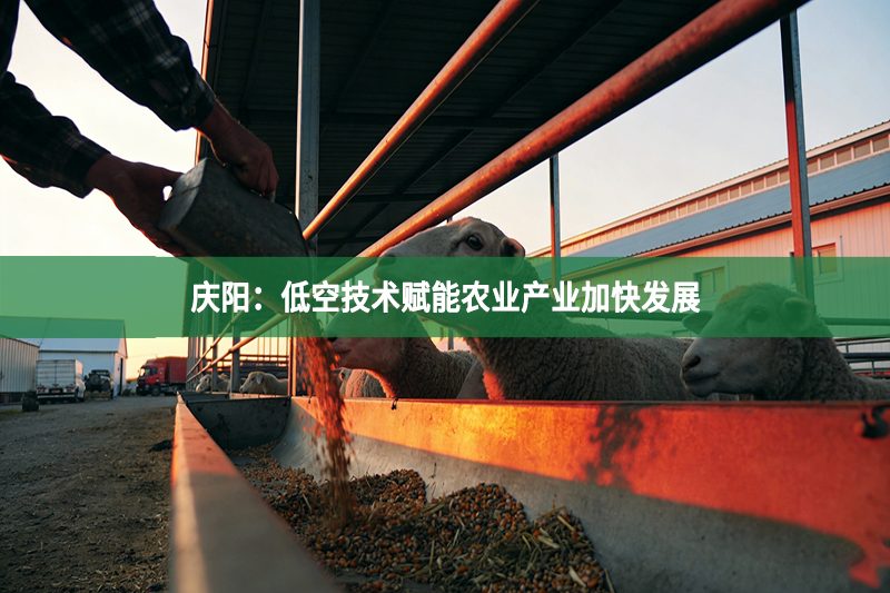 庆阳：低空技术赋能农业产业加快发展