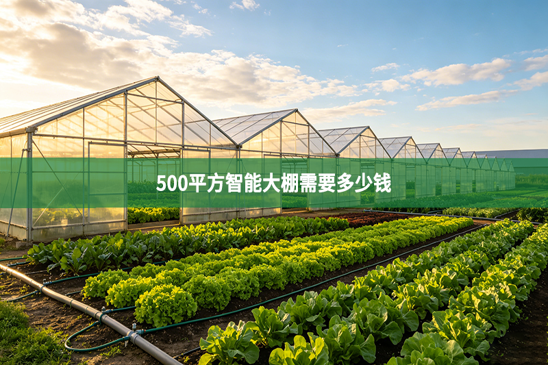500平方智能大棚需要多少钱
