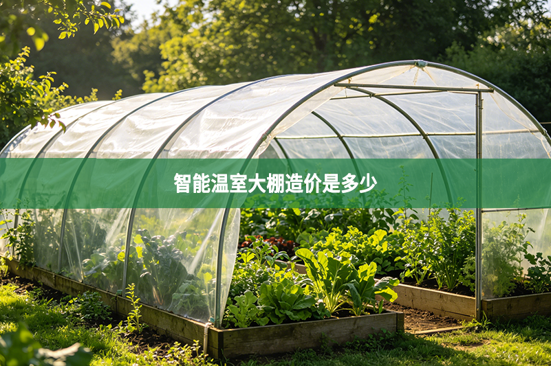 智能温室大棚造价是多少