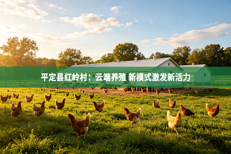 平定县红岭村：云端养殖 新模式激发新活力