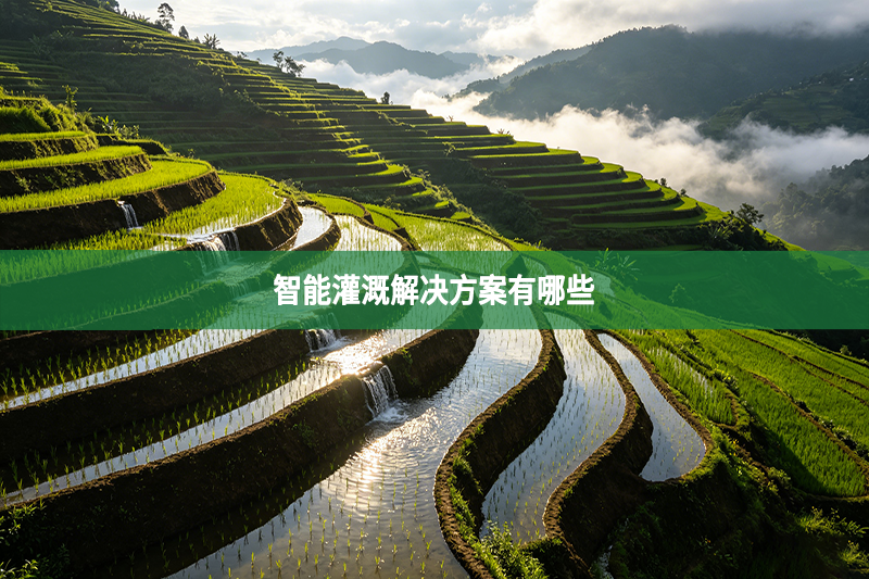 智能灌溉解决方案有哪些