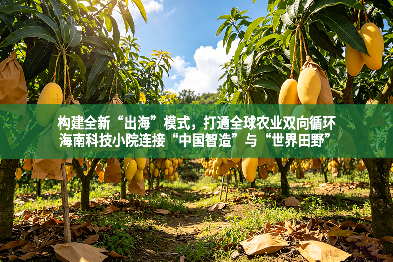 构建全新“出海”模式，打通全球农业双向循环 海南科技小院连接“中国智造”与“世界田野”