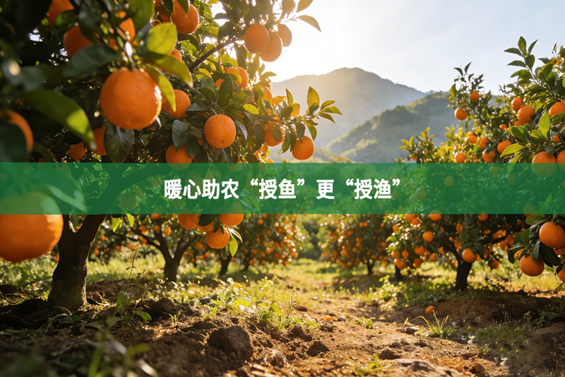 暖心助农“授鱼”更“授渔”