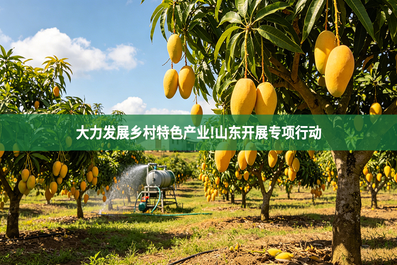 大力发展乡村特色产业!山东开展专项行动