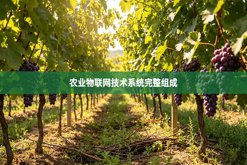 农业物联网技术系统完整组成