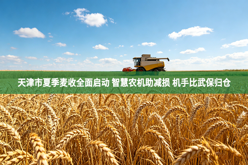 天津市夏季麦收全面启动 智慧农机助减损 机手比武保归仓