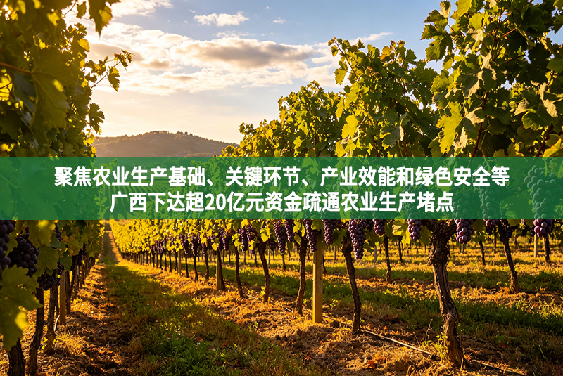 聚焦农业生产基础、关键环节、产业效能和绿色安全等 广西下达超20亿元资金疏通农业生产堵点