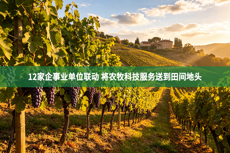 农牧科技服务