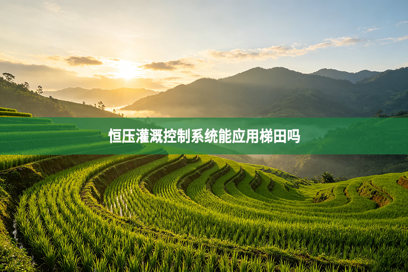 恒压灌溉控制系统能应用梯田吗
