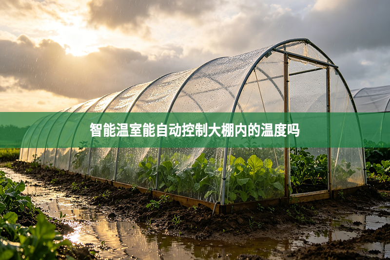 智能温室能自动控制大棚内的温度吗