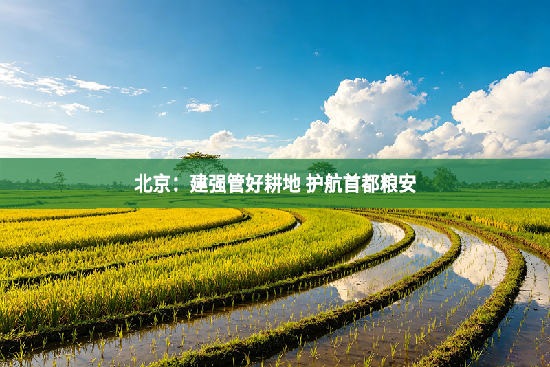 北京：建强管好耕地 护航首都粮安