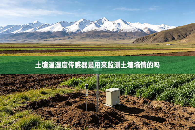 土壤温湿度传感器是用来监测土壤墒情的吗