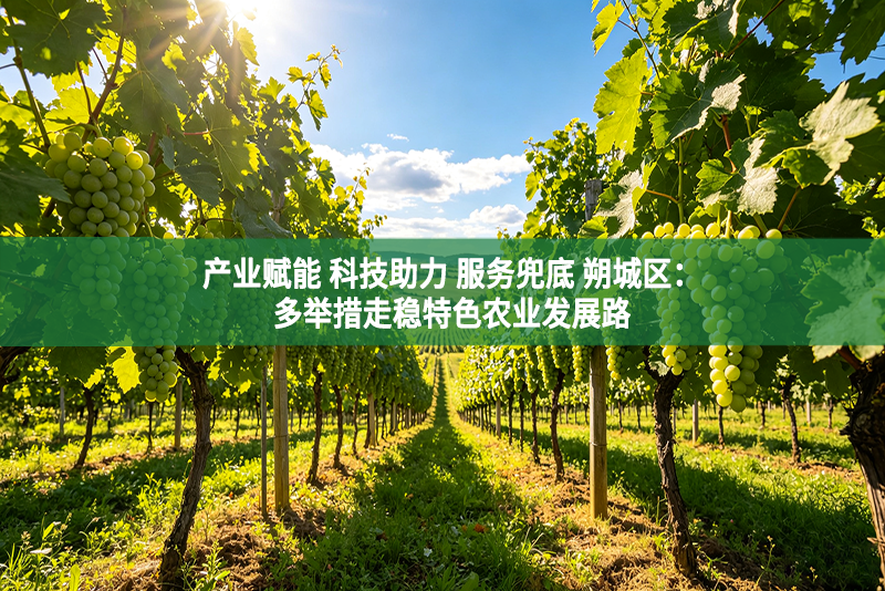 产业赋能 科技助力 服务兜底 朔城区：多举措走稳特色农业发展路