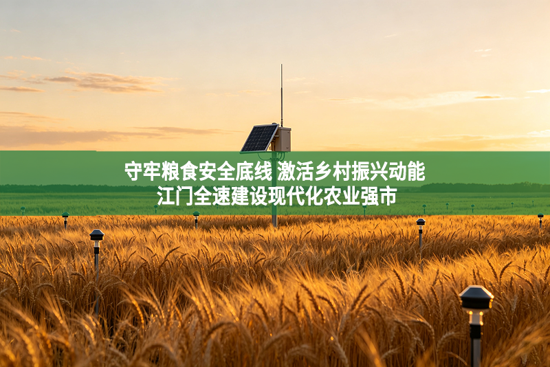 守牢粮食安全底线 激活乡村振兴动能 江门全速建设现代化农业强市