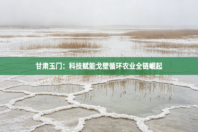 甘肃玉门：科技赋能戈壁循环农业全链崛起