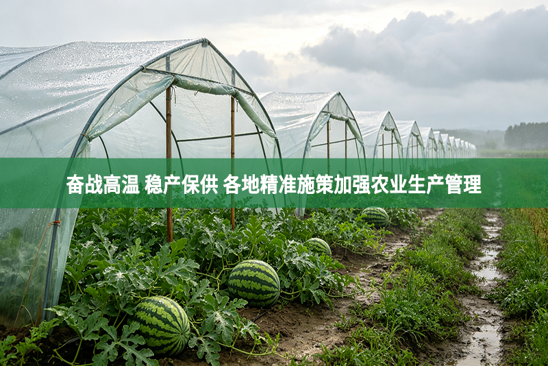 奋战高温 稳产保供 各地精准施策加强农业生产管理