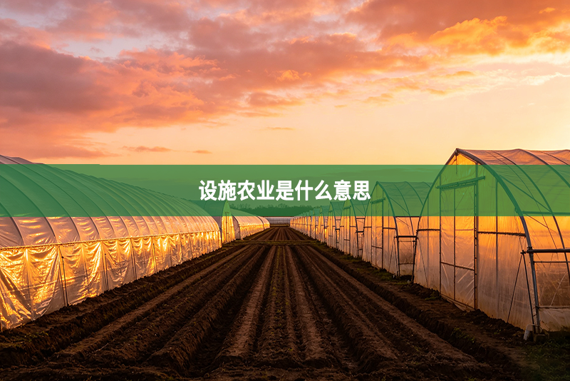 设施农业是什么意思