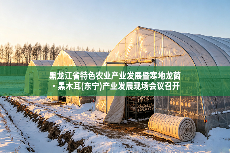 黑龙江省特色农业产业发展暨寒地龙菌·黑木耳(东宁)产业发展现场会议召开