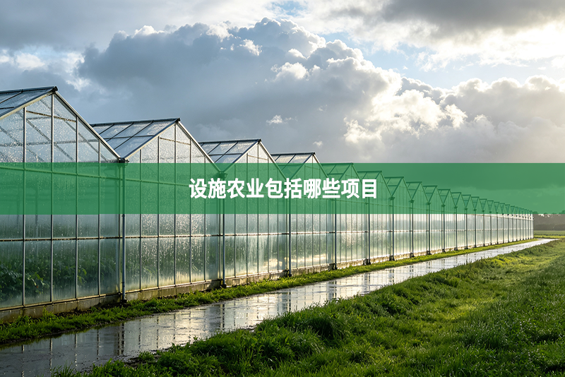 设施农业包括哪些项目