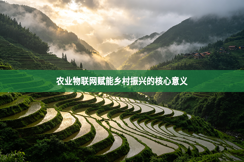 农业物联网赋能乡村振兴的核心意义