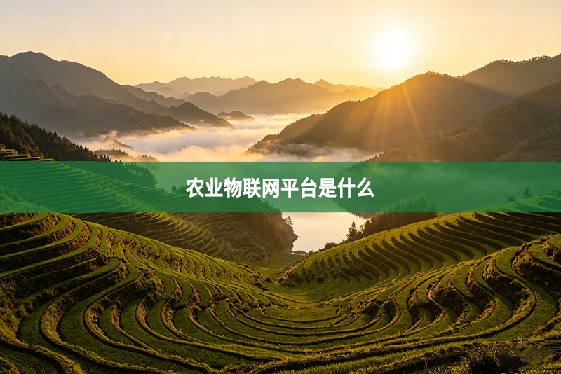 农业物联网平台是什么