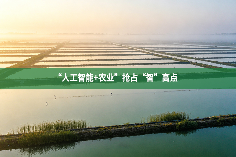 “人工智能+农业”抢占“智”高点