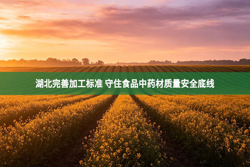 湖北完善加工标准 守住食品中药材质量安全底线